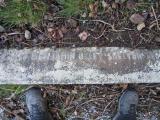 image of grave number 362768
